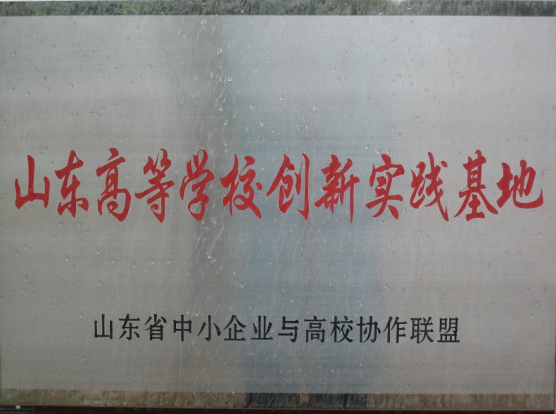 山東高等學(xué)校創(chuàng)新實踐基地